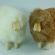 Mouton Déco - H 15cm -  uni